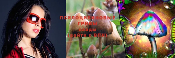 spice Приозерск